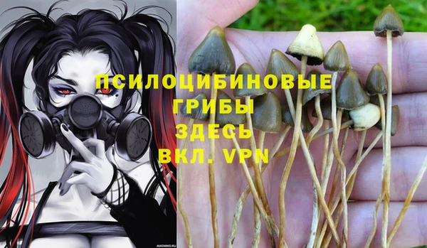 меф Инта