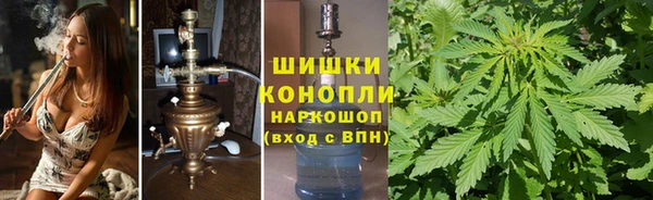 прущая мука Иннополис