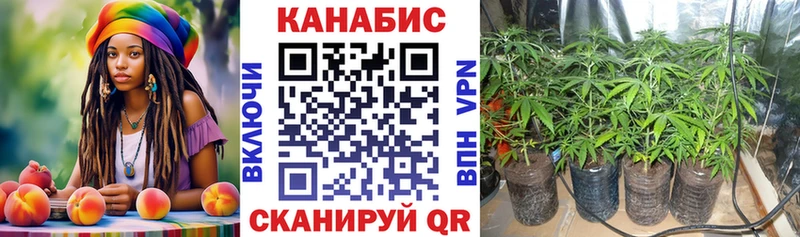 МАРИХУАНА White Widow Артёмовский